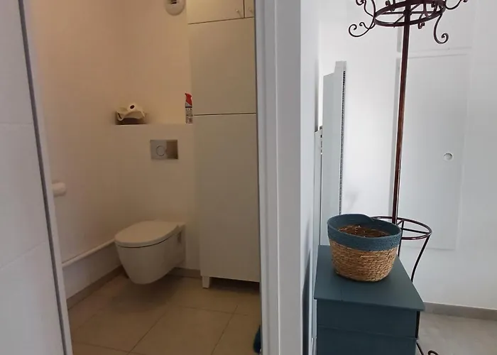 Les Voiles Du Clipper T2